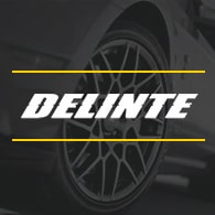 шины Delinte