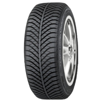 Good Year Vector 4Seasons