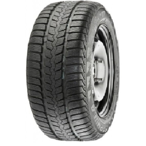 Formula Winter