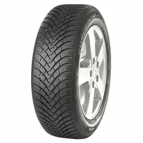 Falken Eurowinter HS01